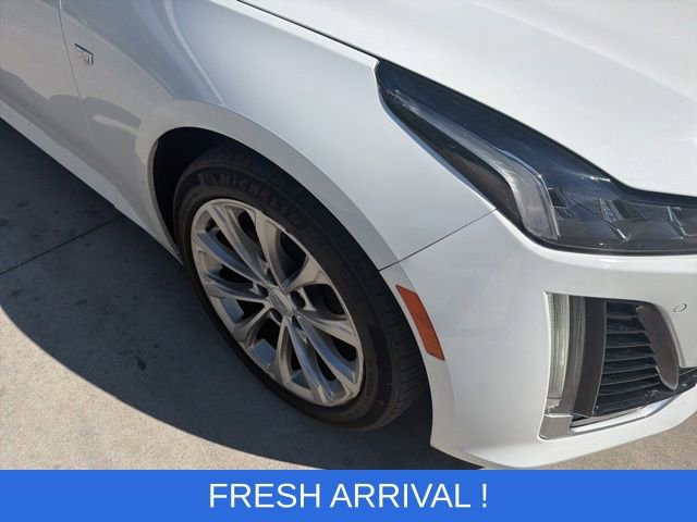 Used 2023 Cadillac CT5 Premium Luxury w/ Climate Package image 5