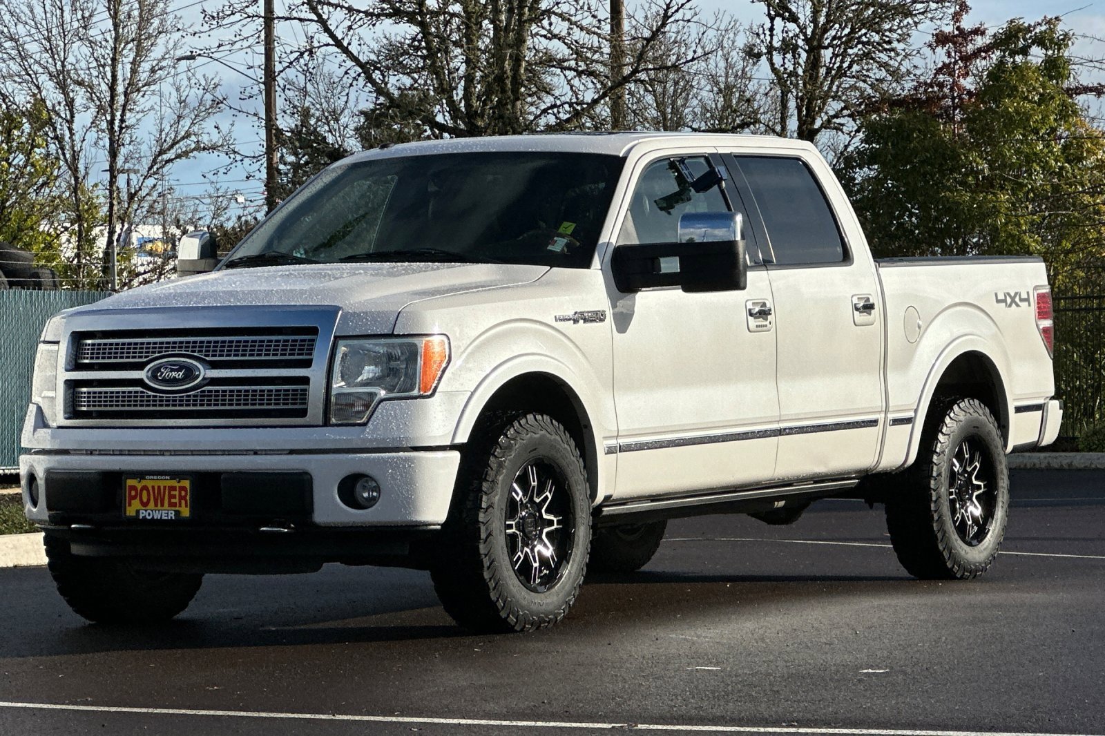Used 2010 Ford F150 Platinum image 8