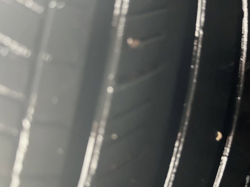 Used 2021 Honda Accord Sport Special Edition image 19