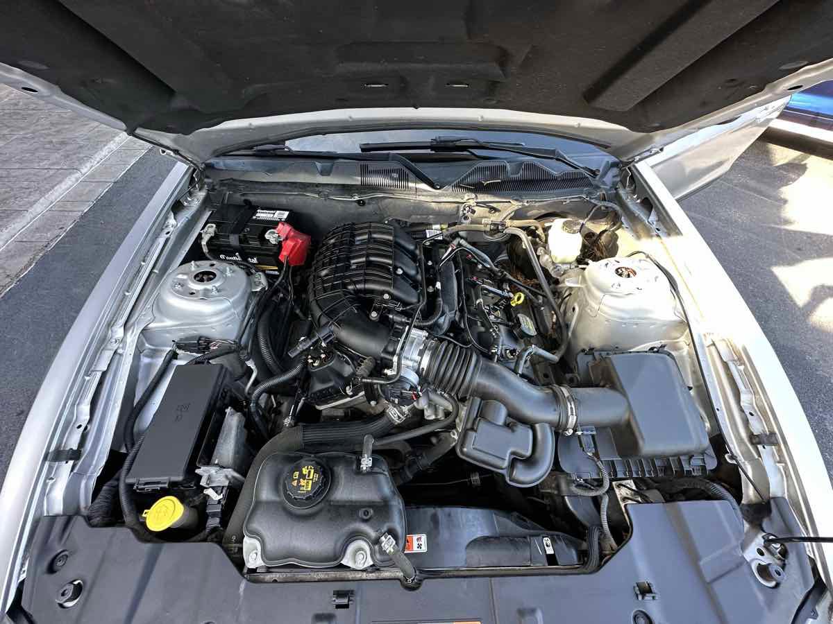 Used 2014 Ford Mustang Premium w/ Equipment Group 201A image 10