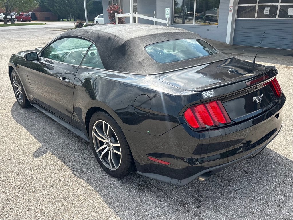 Used 2017 Ford Mustang Premium RWD image 7