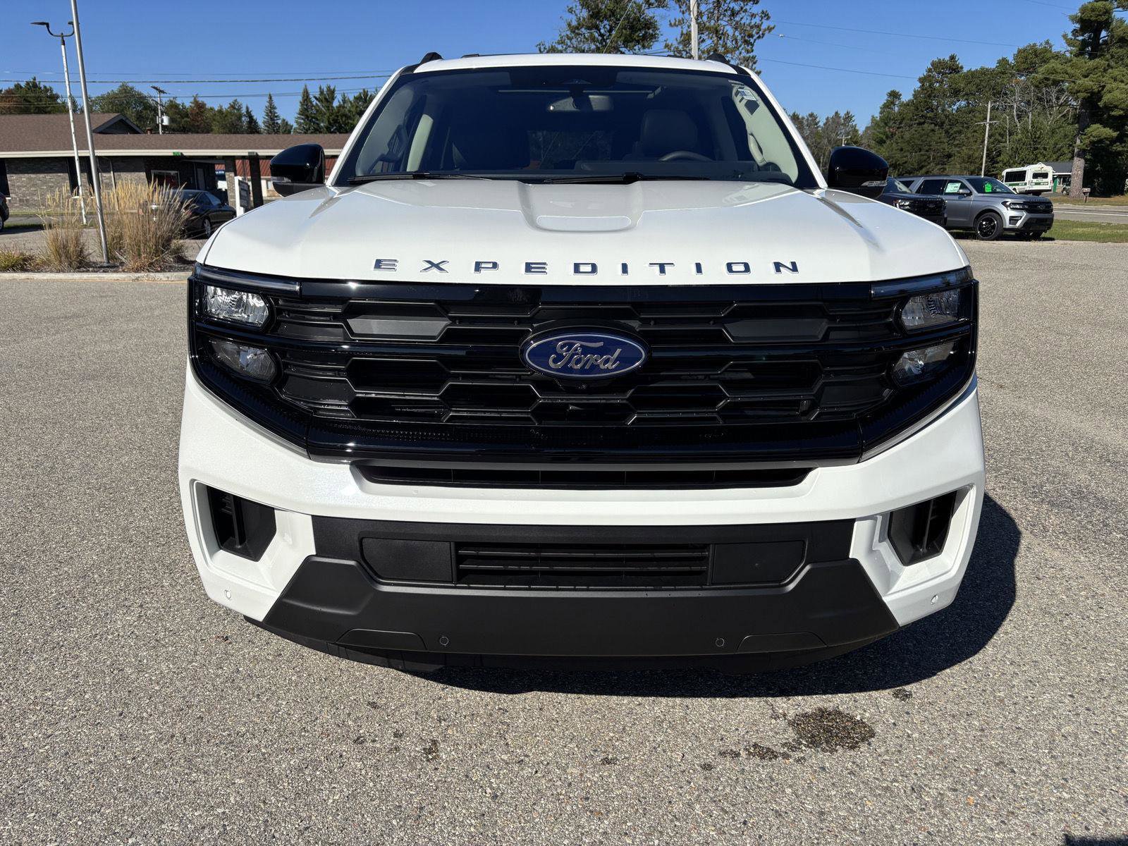 New 2025 Ford Expedition Active image 8
