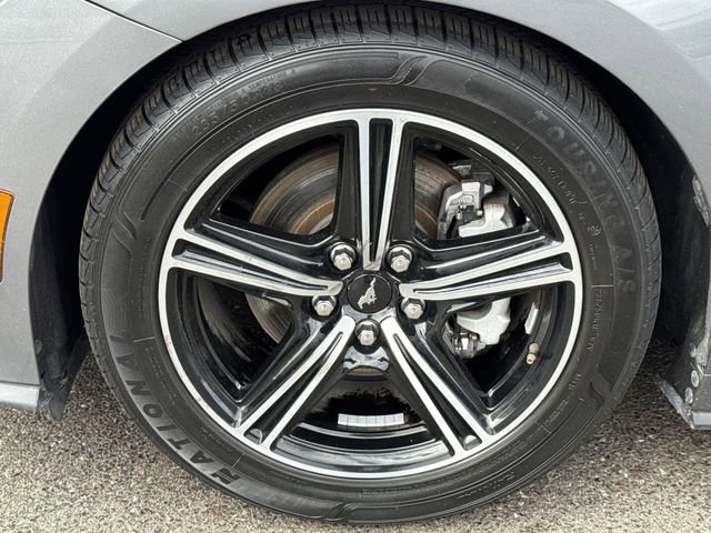 Used 2024 Ford Mustang Premium image 17