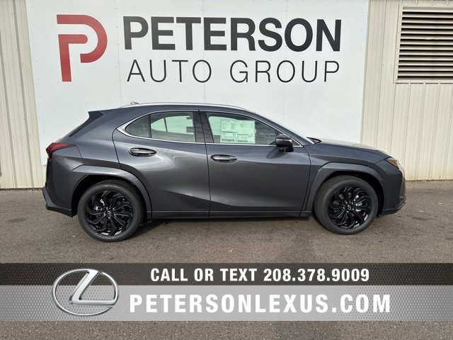 New 2025 Lexus UX 300h AWD image 2