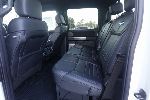 New 2025 Ford F250 Platinum image 5