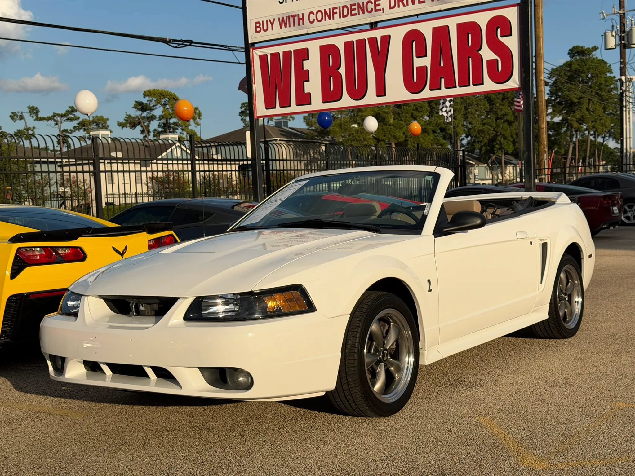 Used 1999 Ford Mustang Cobra RWD image 6