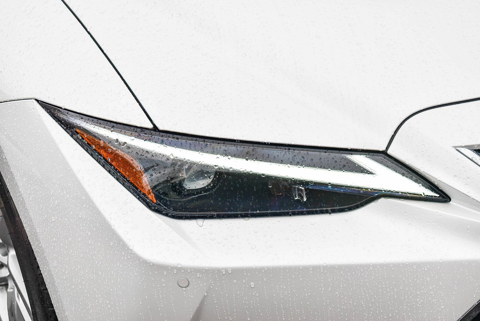 New 2025 Lexus IS 300 w/ Comfort Package image 8