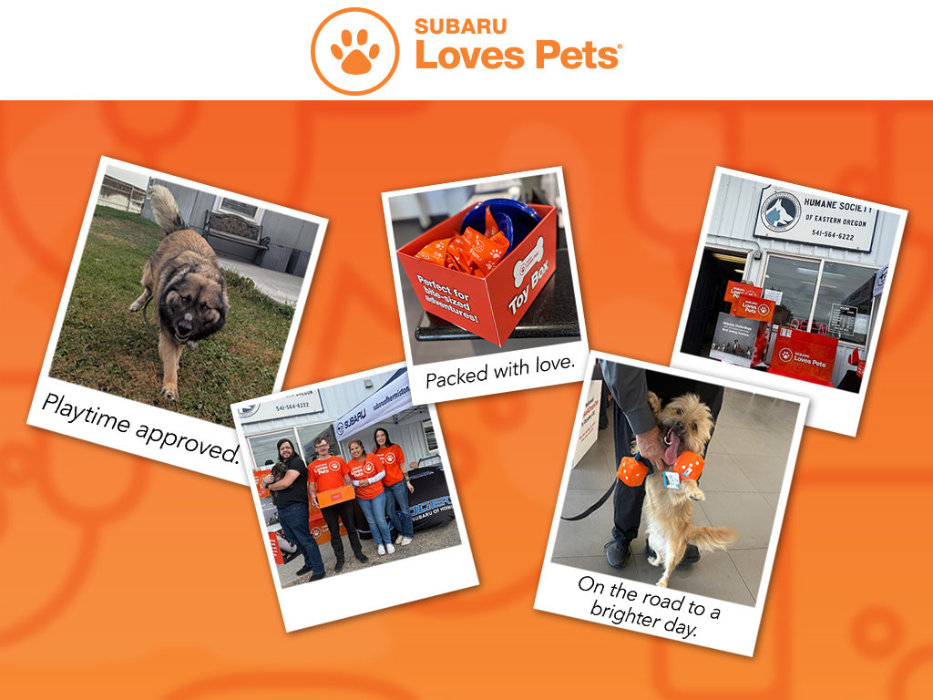 New 2026 Subaru Crosstrek 2.0i Premium image 17