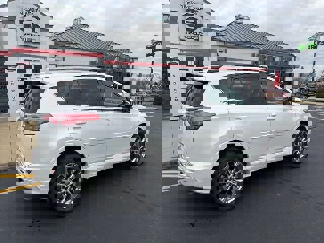 Used 2018 Toyota RAV4 Platinum image 13