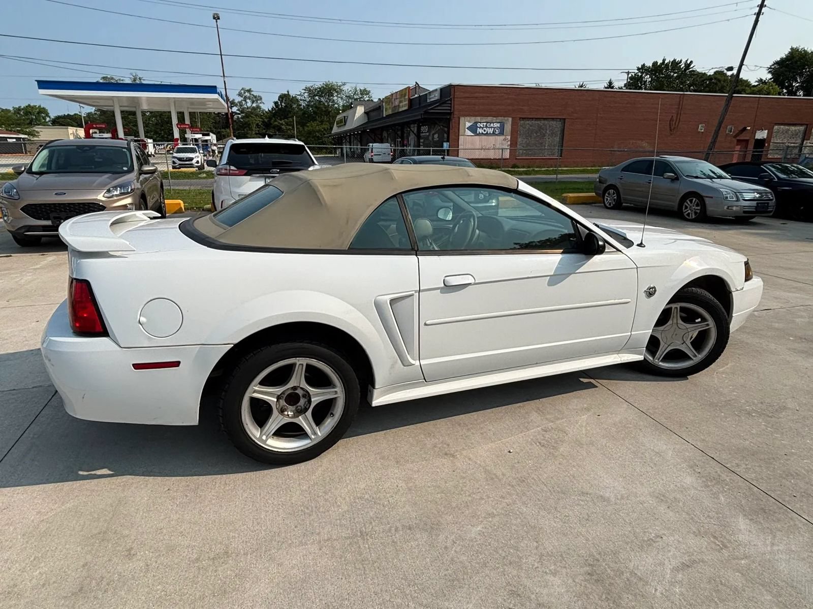 Used 2004 Ford Mustang Premium RWD image 6