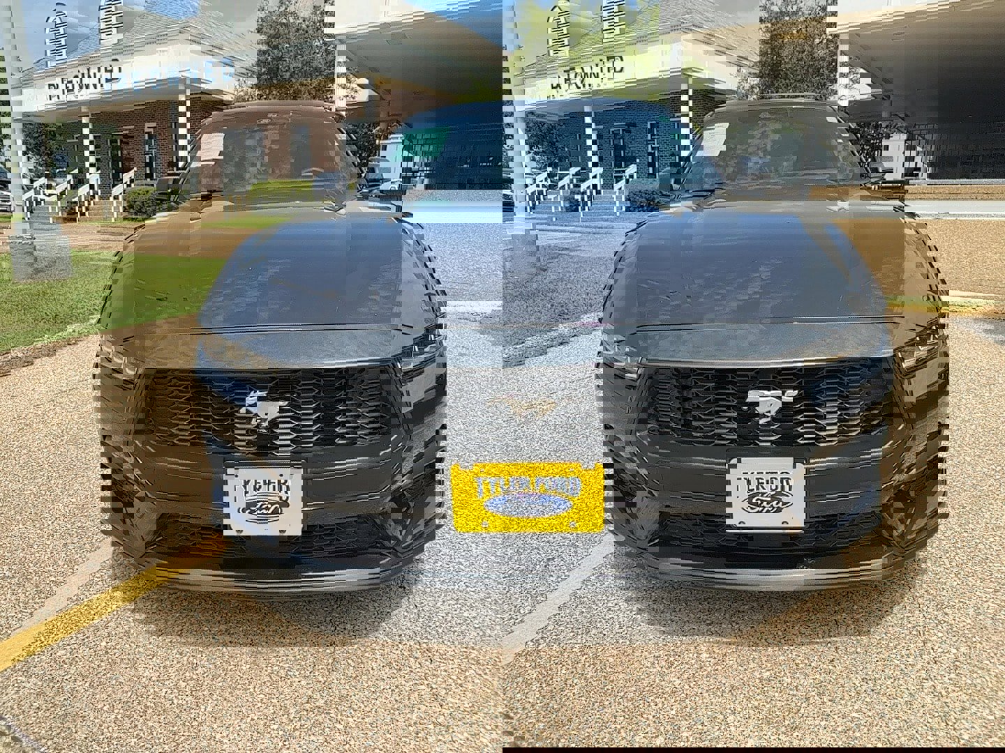 Used 2024 Ford Mustang Premium w/ Wheel & Stripe Package image 2