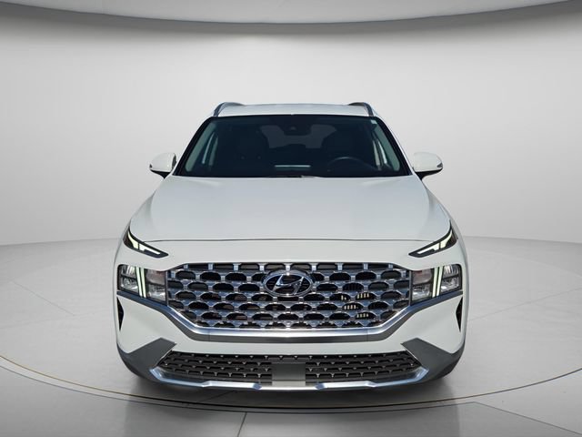 Used 2023 Hyundai Santa Fe Blue AWD/4WD image 4
