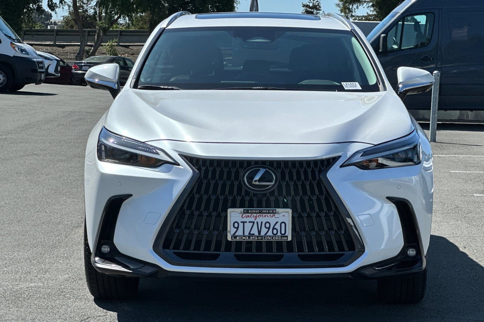 Used 2025 Lexus NX 350 AWD w/ Cold Area Package image 6