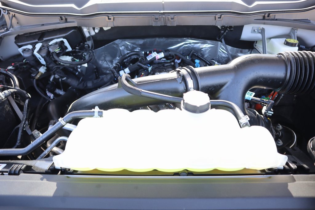 New 2025 Ford F150 XLT w/ Equipment Group 302A MID image 21