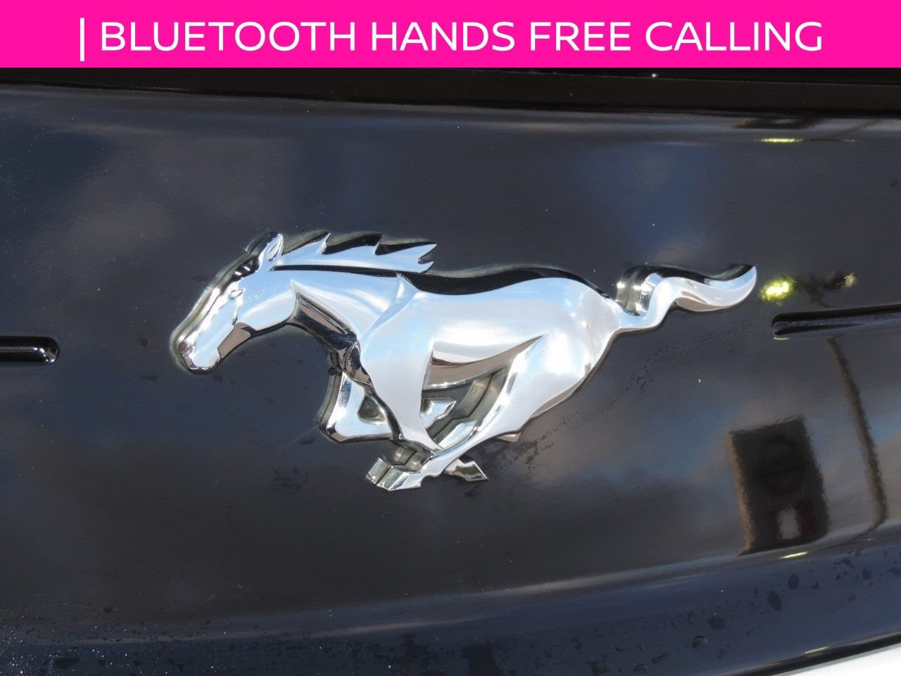 Used 2022 Ford Mustang Premium w/ Equipment Group 201A RWD image 11