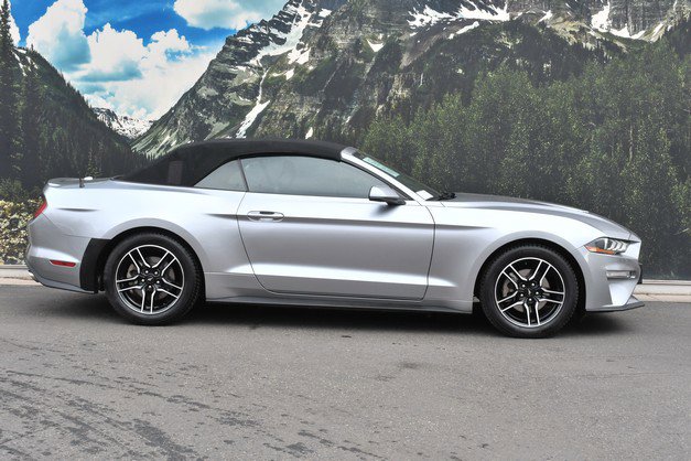 Used 2021 Ford Mustang Premium image 2