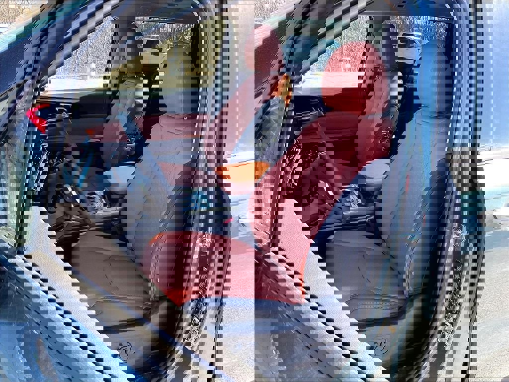 New 2026 Kia Carnival SX Prestige image 11