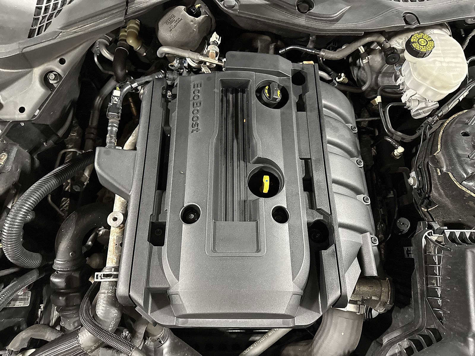 Used 2019 Ford Mustang EcoBoost w/ Equipment Group 101A image 12