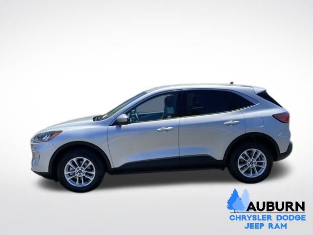 Used 2020 Ford Escape SE AWD/4WD image 4