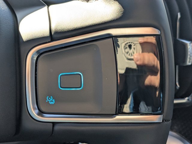 New 2026 Ford Expedition Platinum w/ Stealth Performance Package image 30