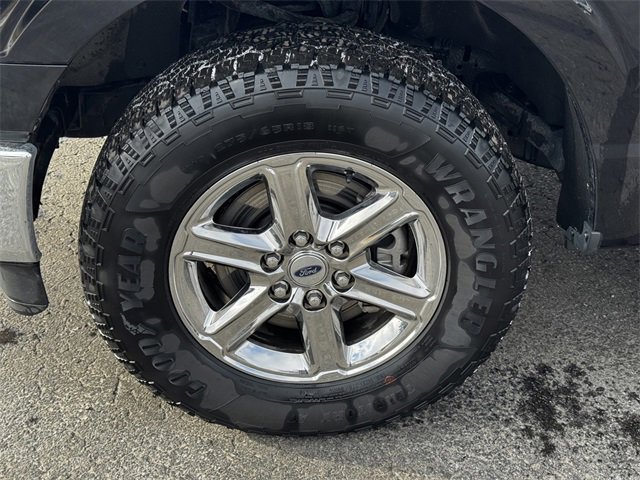 Used 2025 Ford F150 XLT w/ Equipment Group 301A Standard image 10