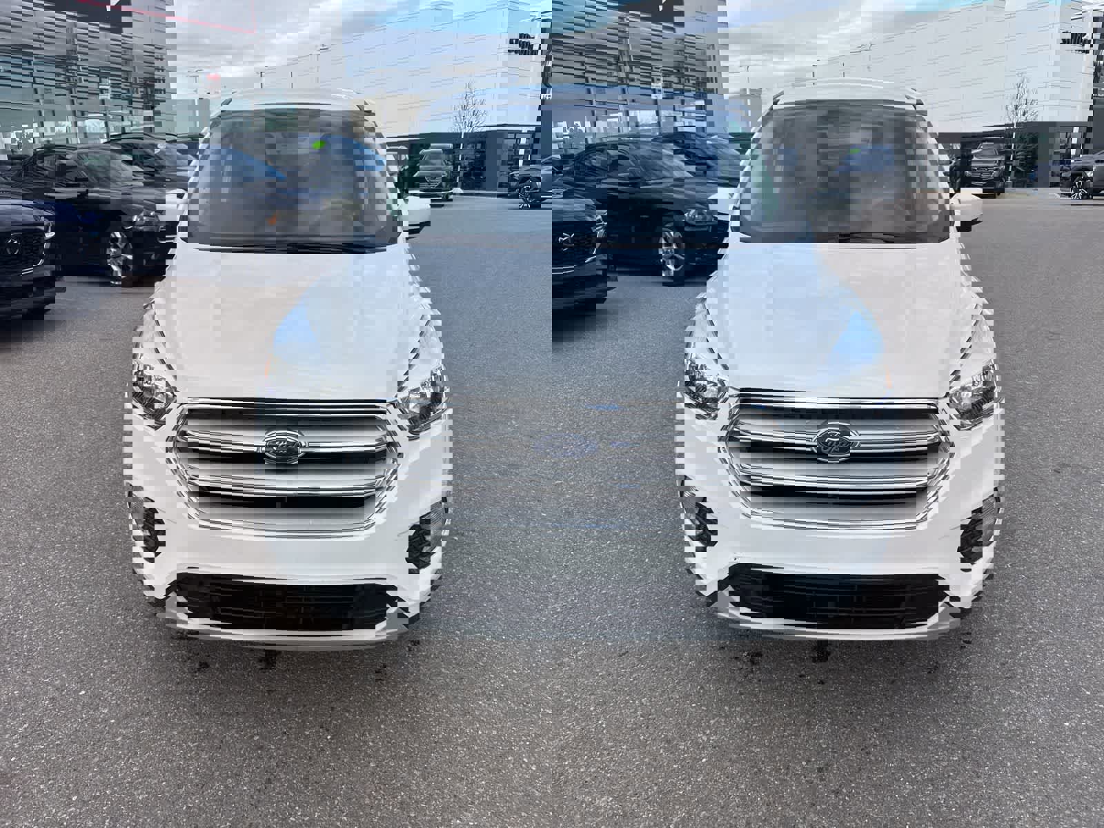 Used 2019 Ford Escape SE image 2