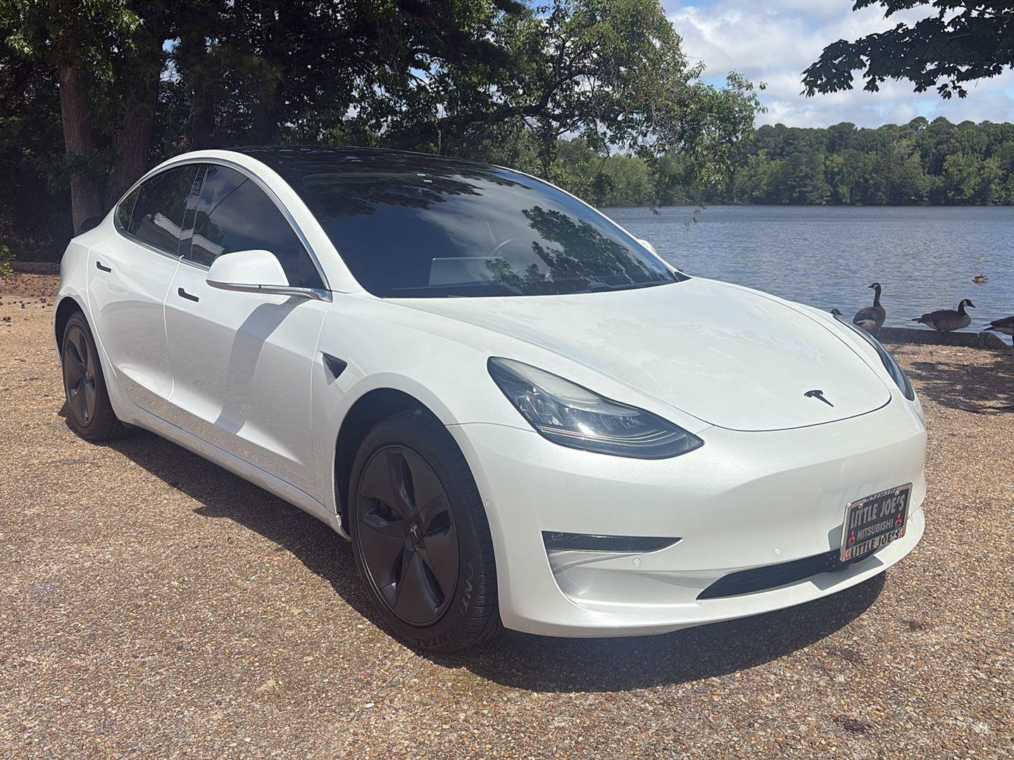 Used 2019 Tesla Model 3 Standard Range RWD image 1