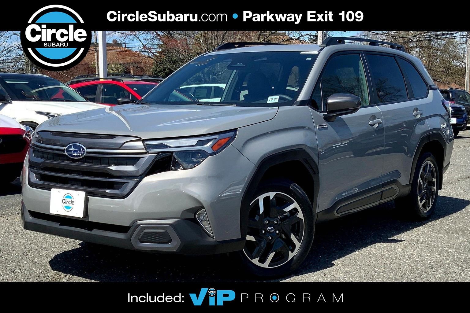 Certified 2025 Subaru Forester Limited image 1