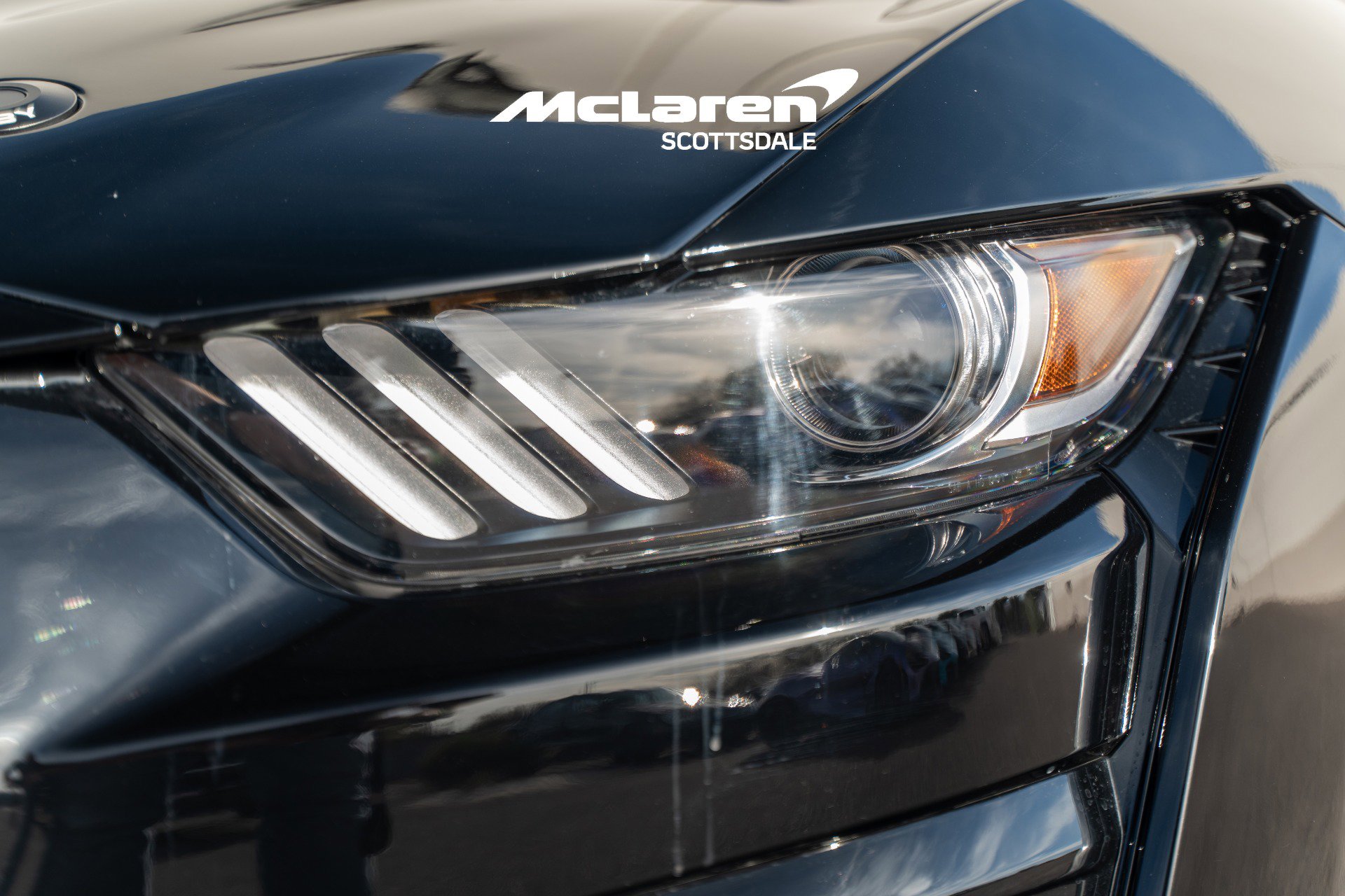 Used 2022 Ford Mustang Shelby GT500 w/ Technology Package image 14