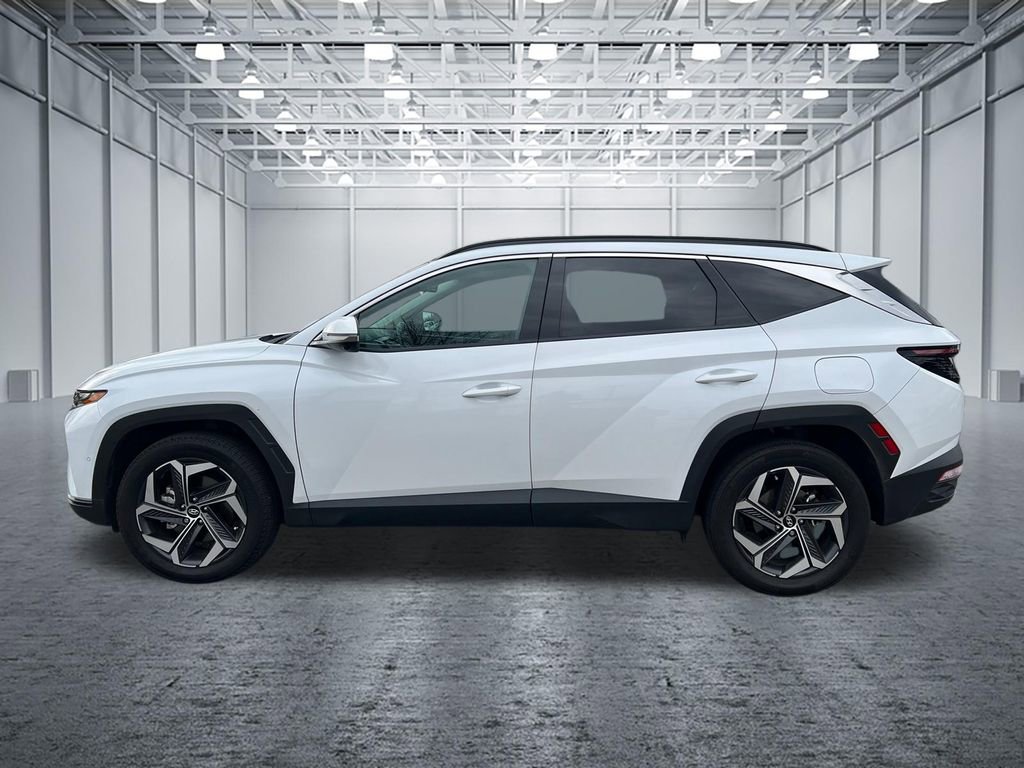 Certified 2024 Hyundai Tucson Limited image 4