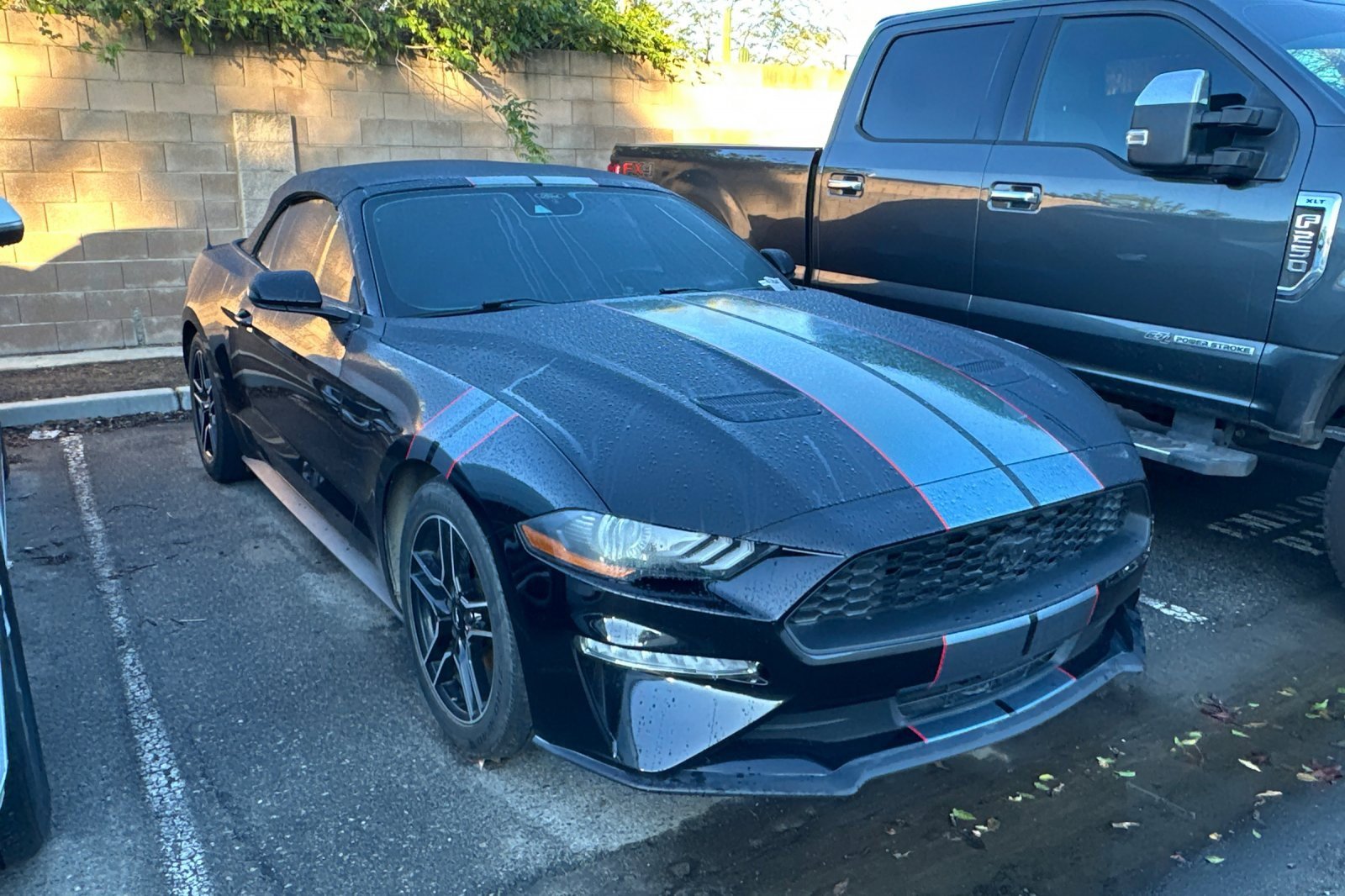 Used 2022 Ford Mustang Convertible w/ Equipment Group 101A image 6