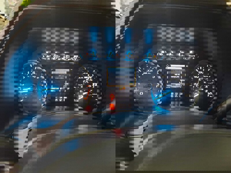 Used 2019 Ford F150 XLT w/ Equipment Group 301A Mid image 31