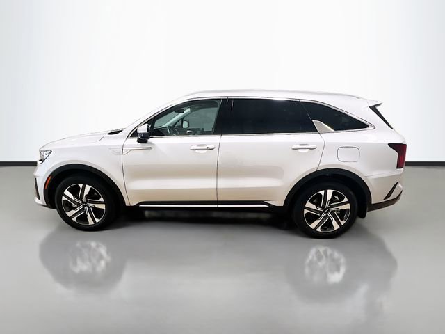 Certified 2023 Kia Sorento SX Prestige image 4