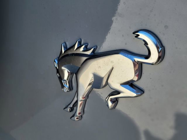 New 2026 Ford Bronco Big Bend image 5