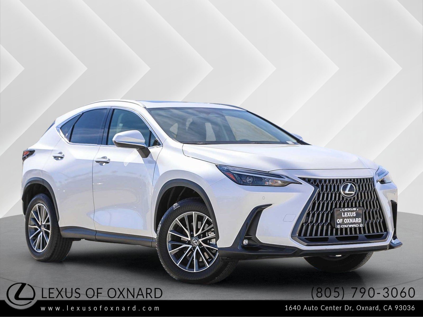 Used 2025 Lexus NX 250 FWD