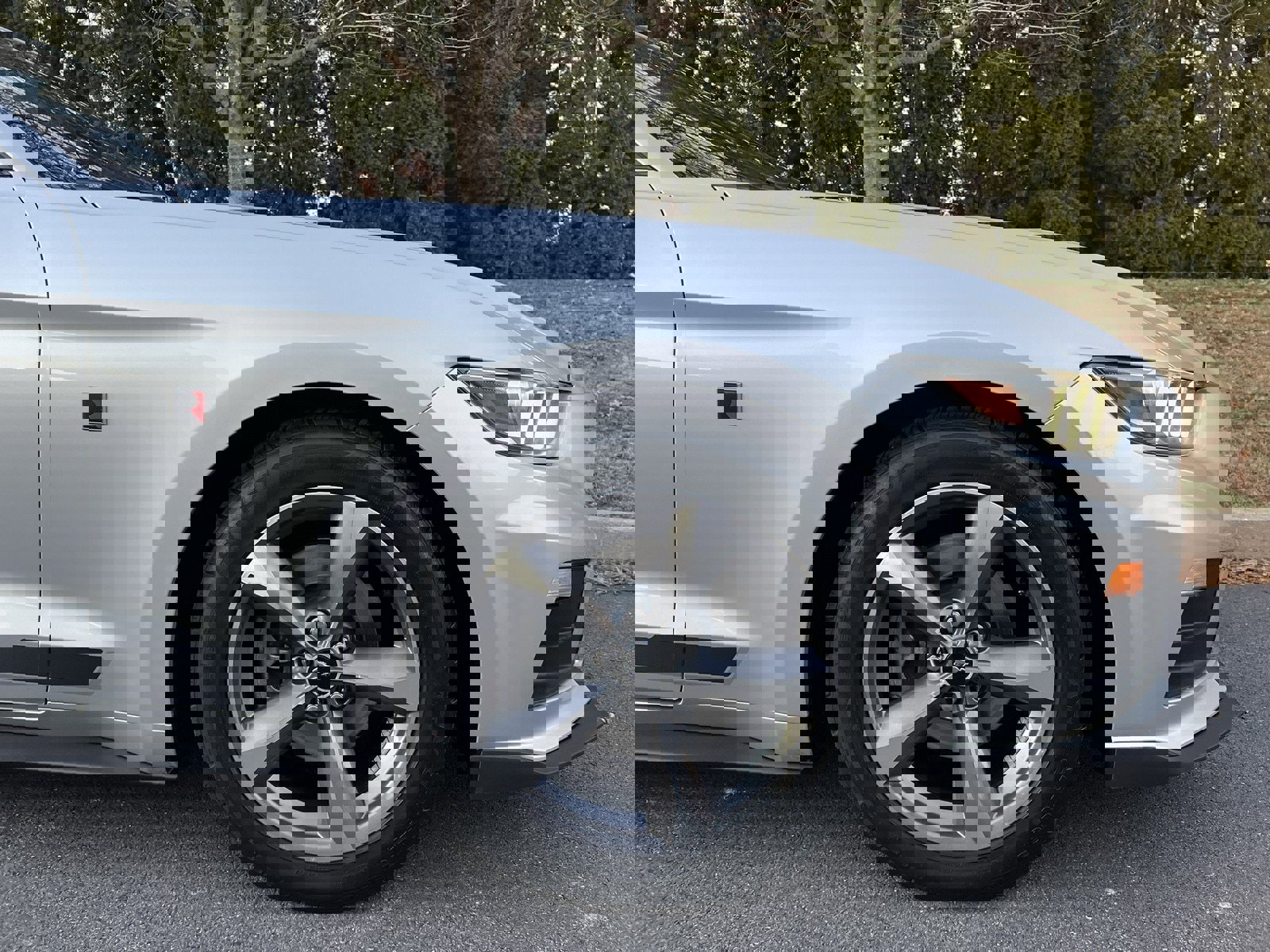 Used 2015 Ford Mustang Coupe w/ Equipment Group 051A image 57