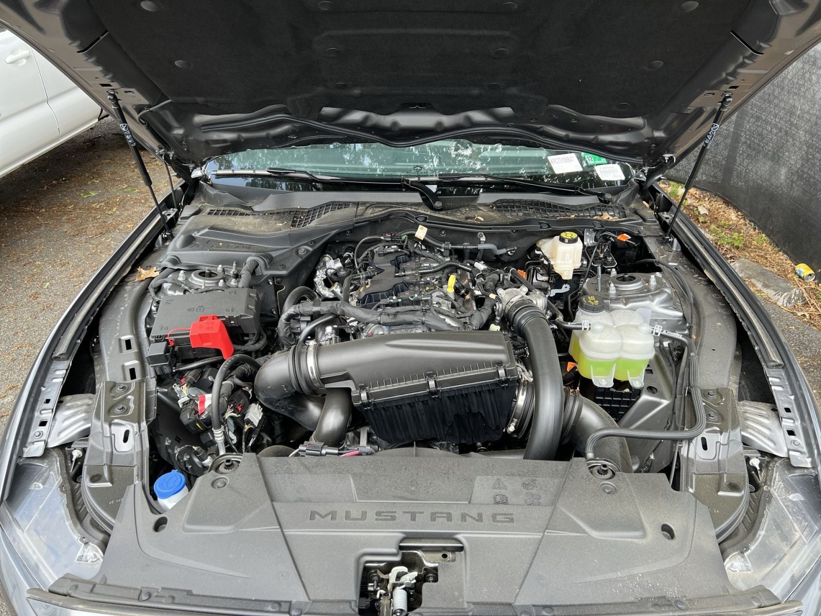 New 2026 Ford Mustang Coupe RWD image 26