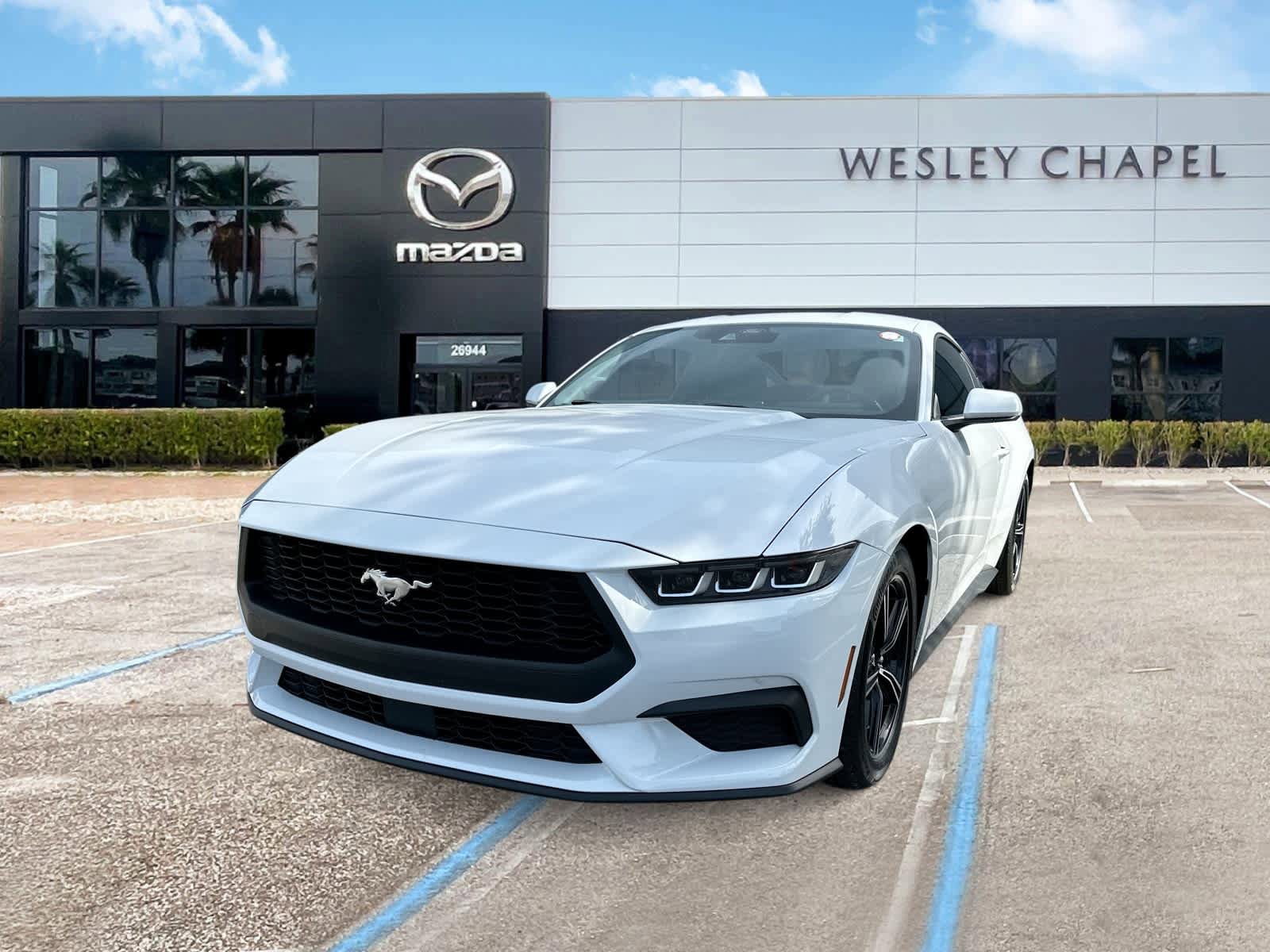 Used 2024 Ford Mustang Coupe RWD image 1