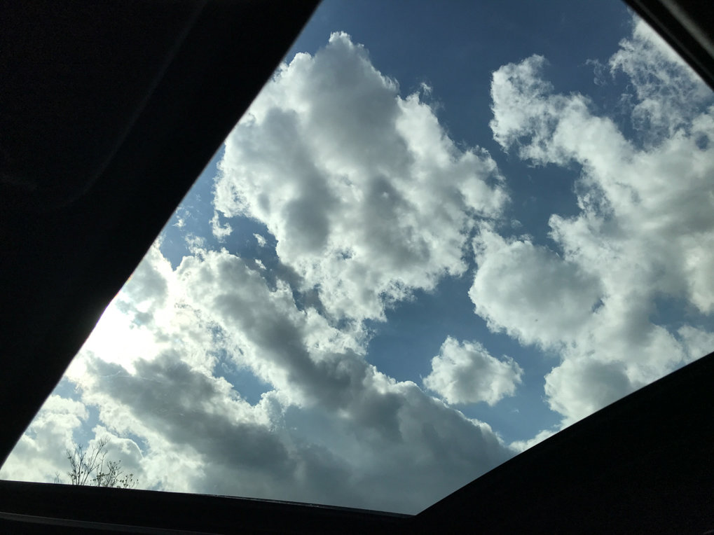 Used 2023 Subaru Forester Wilderness AWD/4WD image 28