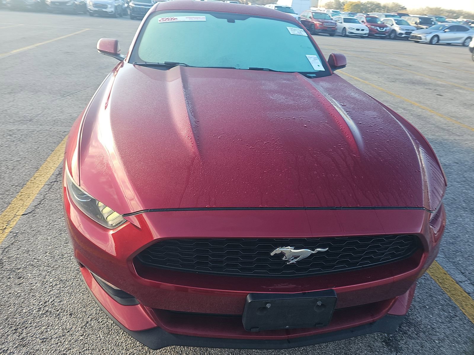 Used 2017 Ford Mustang Coupe image 2