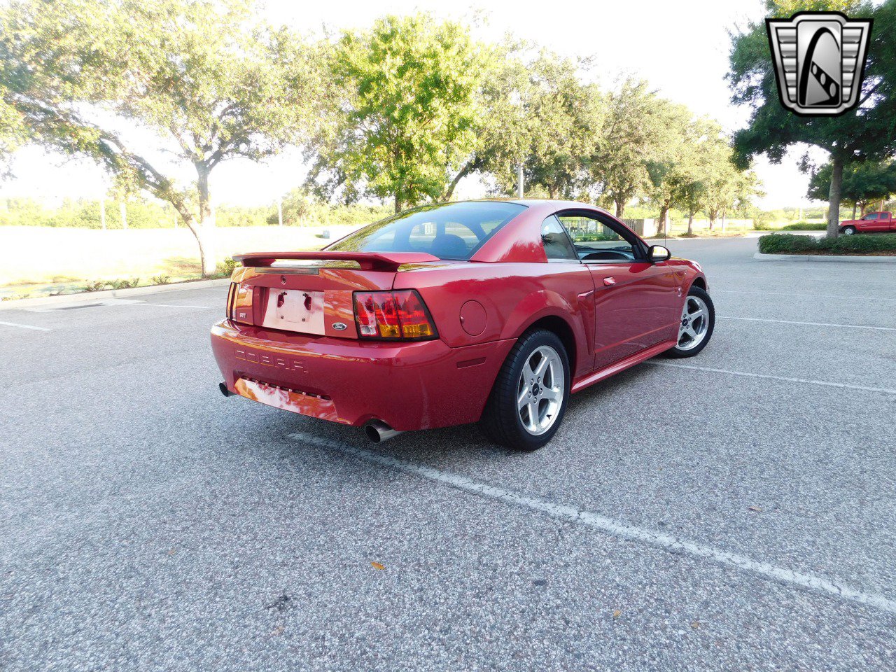 Used 2001 Ford Mustang Cobra image 6