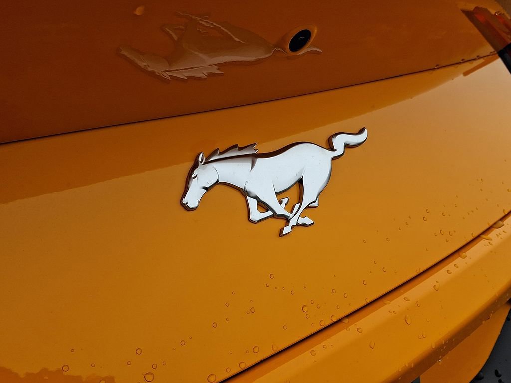 New 2026 Ford Mustang Premium image 19