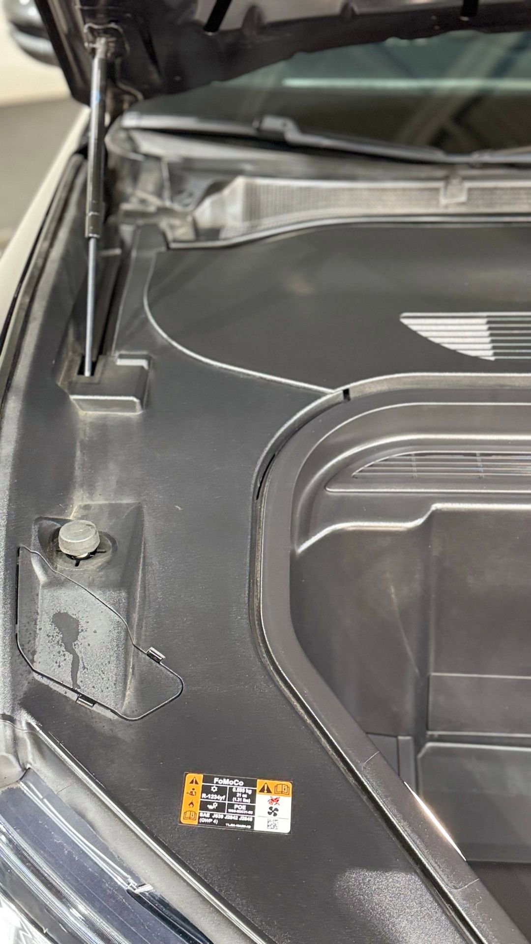 Used 2022 Ford Mustang Mach-E Select image 94