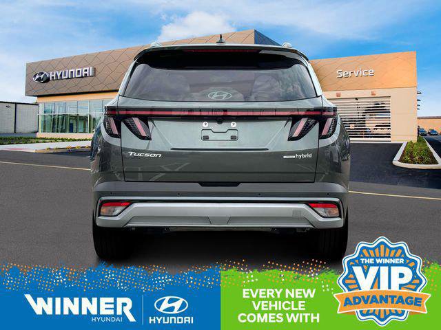 New 2025 Hyundai Tucson Limited image 6