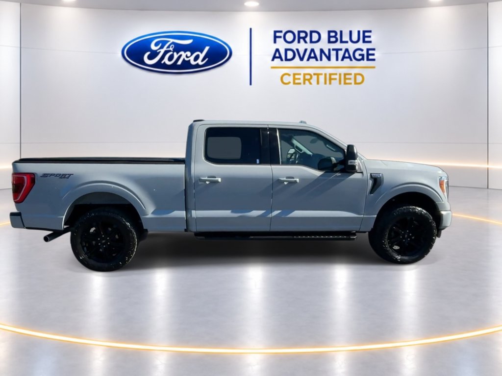 Used 2023 Ford F150 XLT w/ Equipment Group 302A High AWD/4WD image 10