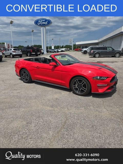 Used 2018 Ford Mustang Premium w/ Equipment Group 201A RWD image 2