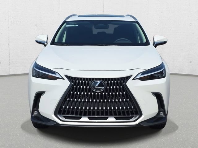 Used 2024 Lexus NX 350h AWD w/ Cold Area Package image 2