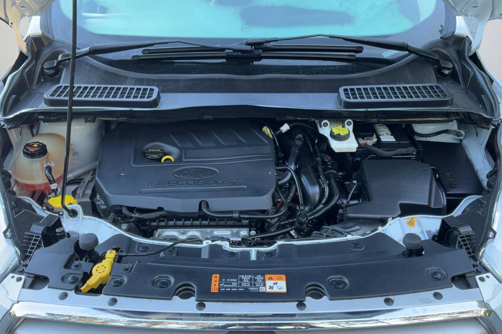 Used 2019 Ford Escape SE AWD/4WD image 22