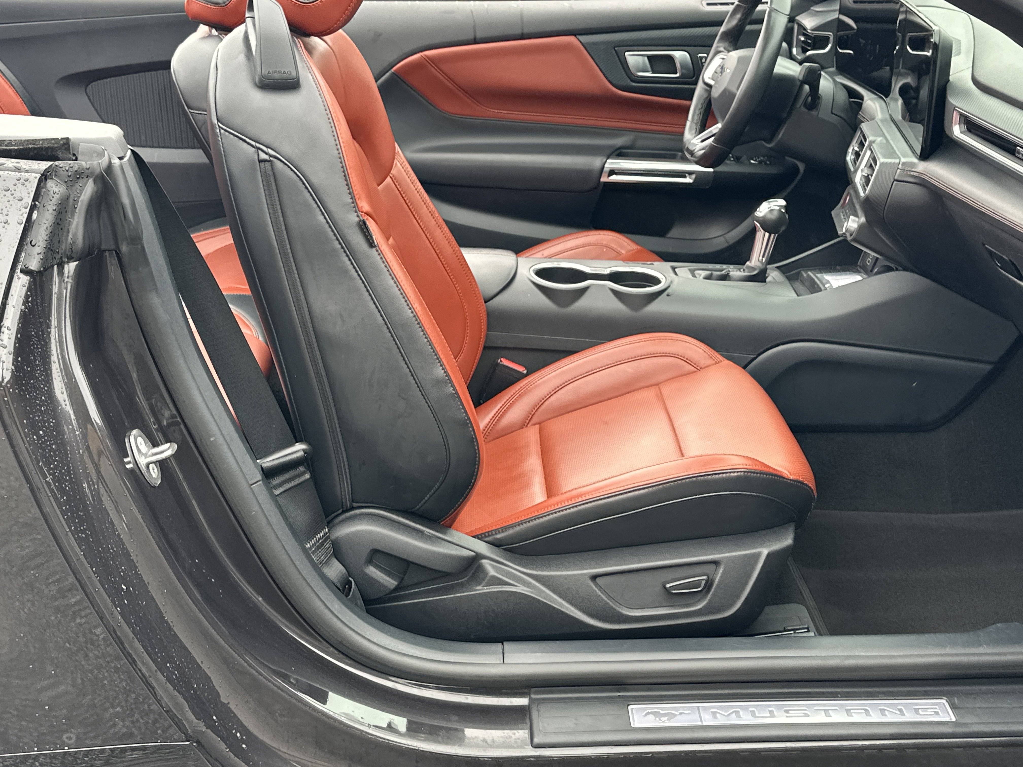 Used 2024 Ford Mustang Premium image 13