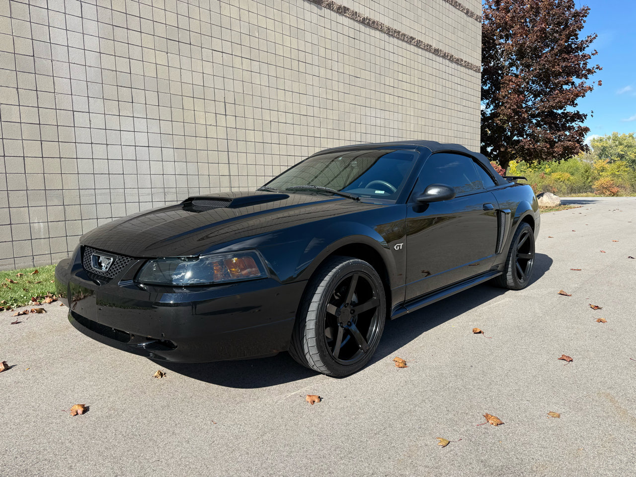 Used 2002 Ford Mustang GT